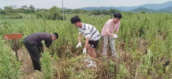 世俱杯中国有限公司官网